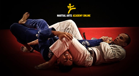 Custom WordPress Plugin for Martial Arts Academy