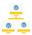 Multisite Wordpress Development